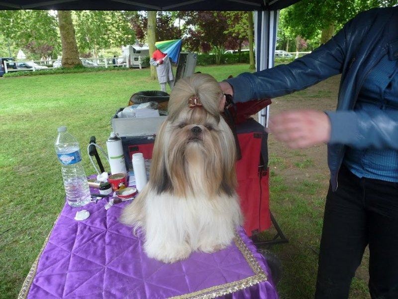 Glittering party girl De Daïkyori Saÿ